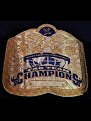 WWE Tag Championship: 130 Superstar Points