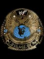 WWE Attitude Heavyweight Championship