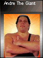 Andre The Giant